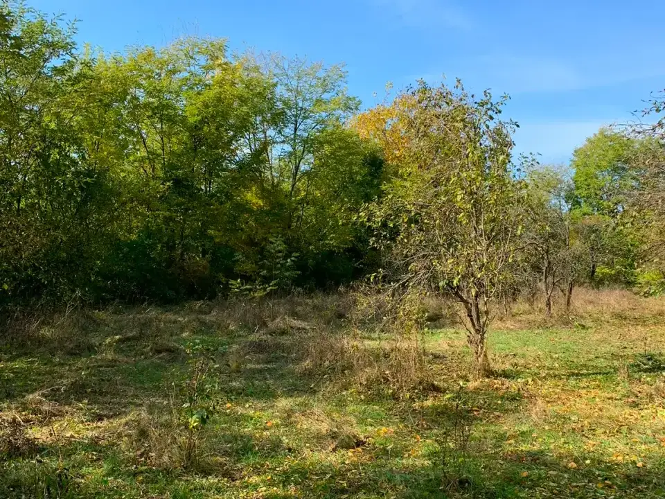 Teren intravilan Cornu de Jos Proahova - 1585 mp img 2